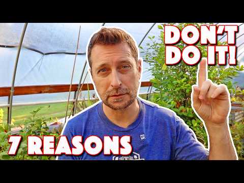 7 Reasons Homesteaders Are Failing! DON'T Leave Until You Watch This!